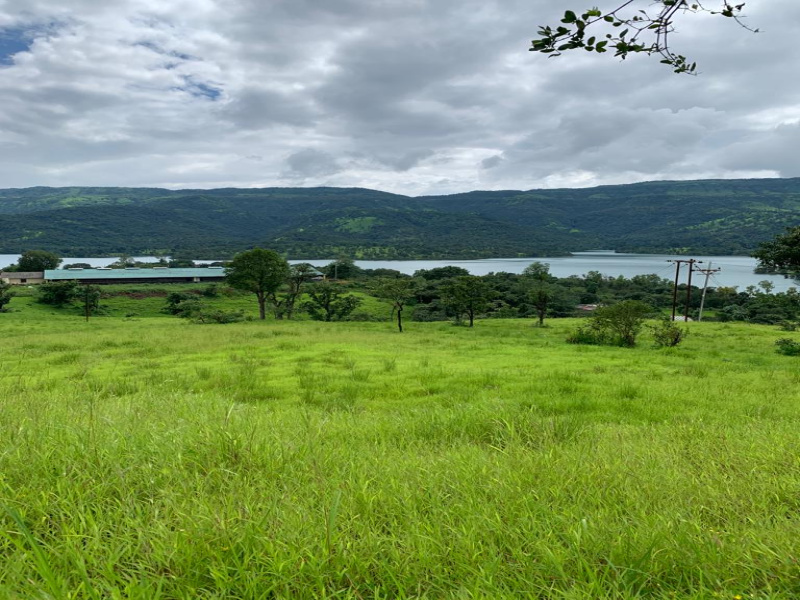 Agricultural Land 13 Acre for Sale in Kusgaon Budruk, Pune