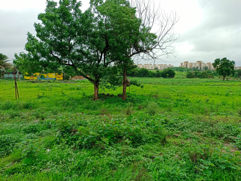 Residential Plot 15 Acre for Sale in Kamshet, Pune