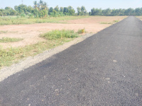  Commercial Land for Sale in Alangudi, Pudukkottai