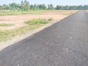  Commercial Land for Sale in Alangudi, Pudukkottai