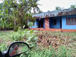  Residential Plot for Sale in Pappinisseri, Kannur