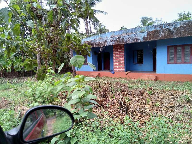 Residential Plot 11 Cent for Sale in Pappinisseri, Kannur