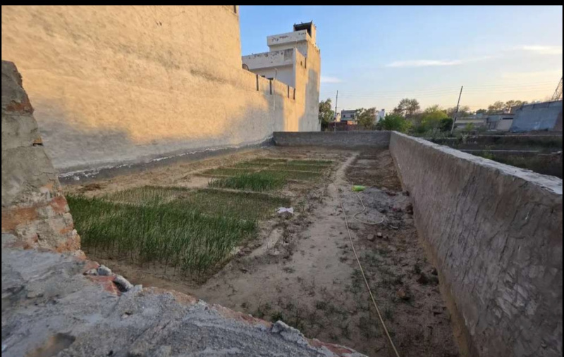  Residential Plot 200 Sq. Yards for Sale in Adarsh Nagar, Bathinda