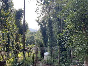  Agricultural Land for Sale in Poolathur, Kodaikanal
