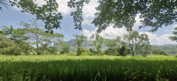 Residential Plot for Sale in Trimbakeshwar, Nashik