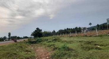  Agricultural Land for Rent in Annavaram, East Godavari