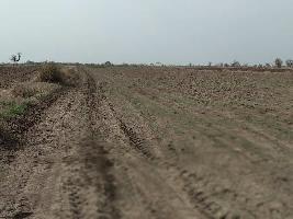  Agricultural Land for Sale in Dahej, Bharuch