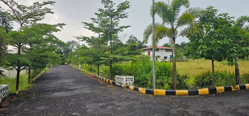  Residential Plot 10850 Sq.ft. for Sale in Trimbak, Nashik