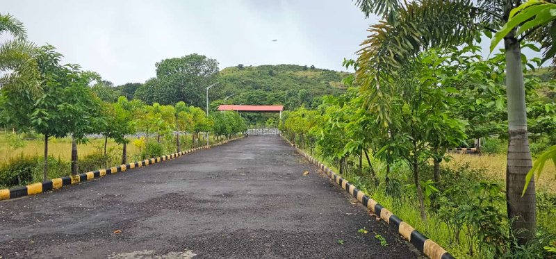  Agricultural Land 10950 Sq.ft. for Sale in Trimbak, Nashik