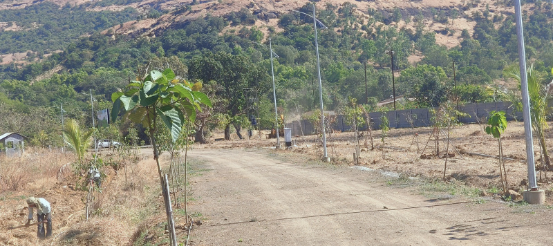  Agricultural Land 10903 Sq.ft. for Sale in Trimbakeshwar, Nashik