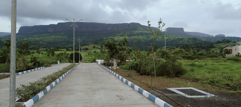 1 BHK Farm House 10000 Sq.ft. for Sale in Trimbakeshwar, Nashik