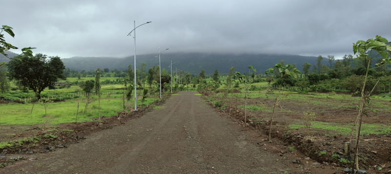  Agricultural Land 12337 Sq.ft. for Sale in Trimbakeshwar, Nashik