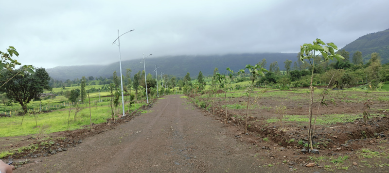  Residential Plot 11300 Sq.ft. for Sale in Trimbakeshwar, Nashik