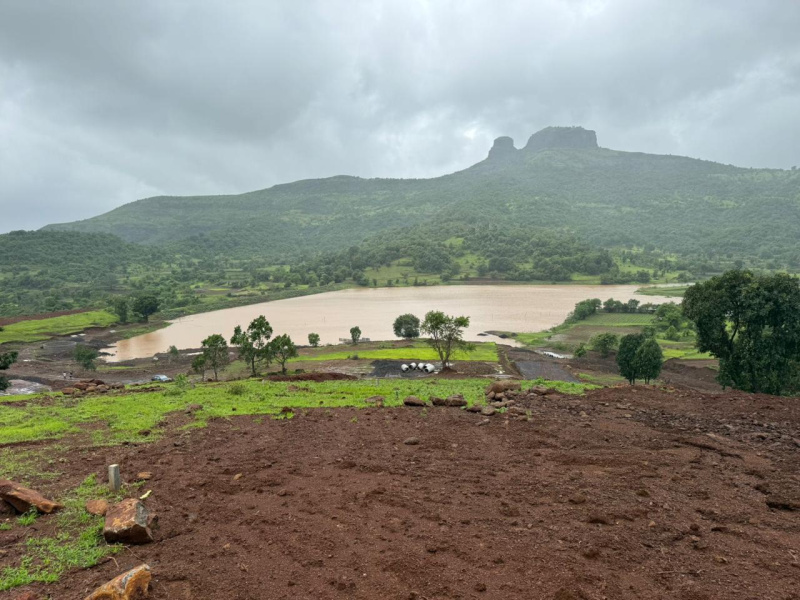  Residential Plot 12000 Sq.ft. for Sale in Igatpuri, Nashik