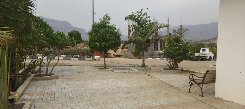  Agricultural Land 11400 Sq.ft. for Sale in Trimbakeshwar, Nashik