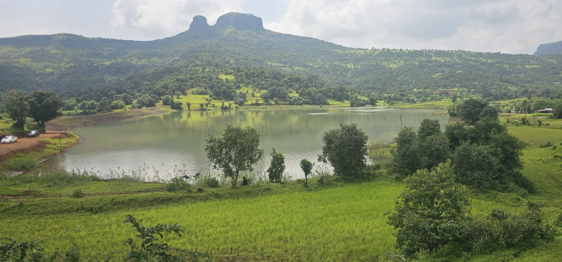 1 BHK Farm House 11011 Sq.ft. for Sale in Igatpuri, Nashik