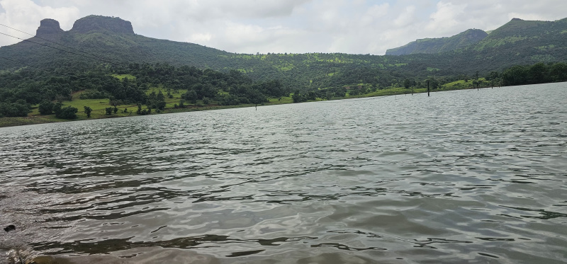 1 BHK Farm House 11011 Sq.ft. for Sale in Igatpuri, Nashik