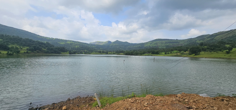 1 BHK Farm House 11011 Sq.ft. for Sale in Igatpuri, Nashik