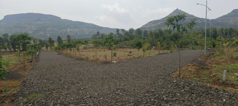  Residential Plot 11000 Sq.ft. for Sale in Trimbakeshwar, Nashik