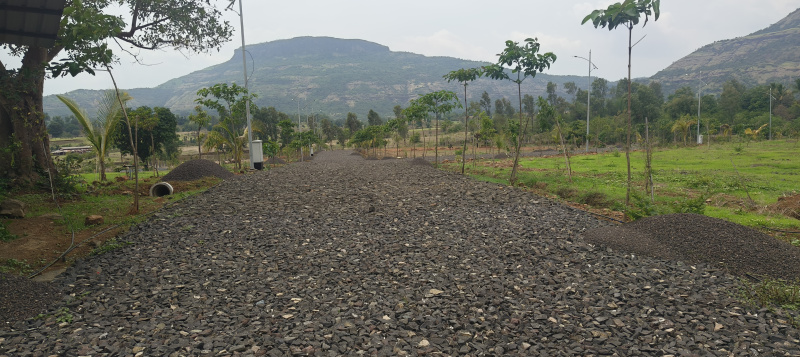  Residential Plot 11000 Sq.ft. for Sale in Trimbakeshwar, Nashik