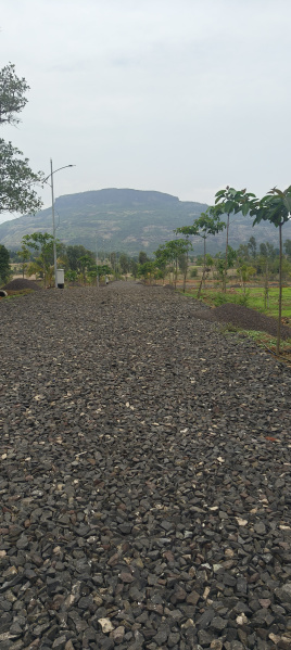1 BHK Farm House 13065 Sq.ft. for Sale in Trimbak, Nashik