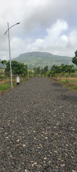  Agricultural Land 11217 Sq.ft. for Sale in Trimbak, Nashik