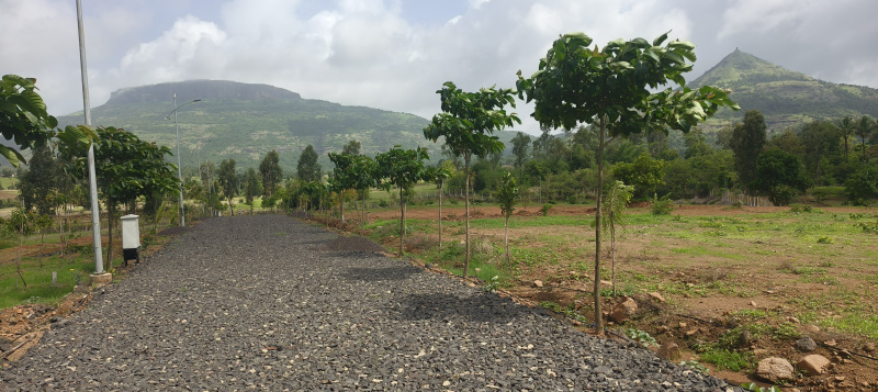  Agricultural Land 11217 Sq.ft. for Sale in Trimbak, Nashik