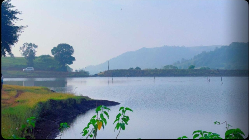 1 BHK Farm House 11500 Sq.ft. for Sale in Igatpuri, Nashik