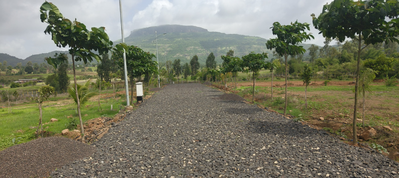  Residential Plot 11348 Sq.ft. for Sale in Trimbakeshwar, Nashik