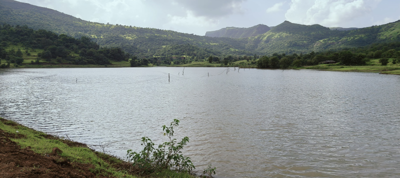  Residential Plot 11005 Sq.ft. for Sale in Igatpuri, Nashik