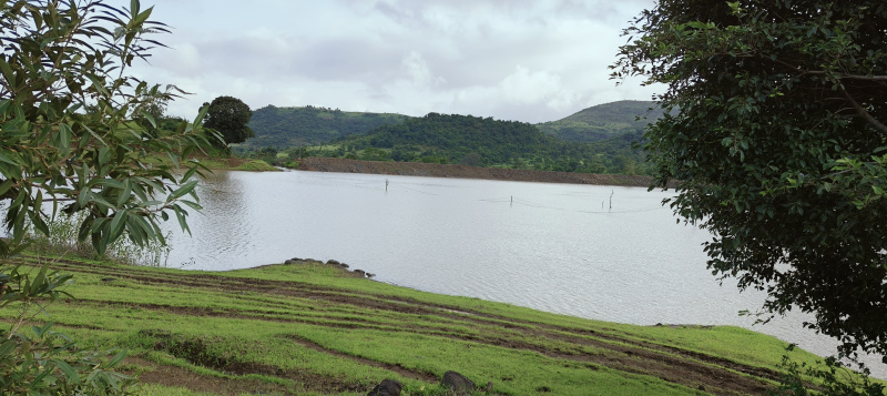  Residential Plot 11005 Sq.ft. for Sale in Igatpuri, Nashik