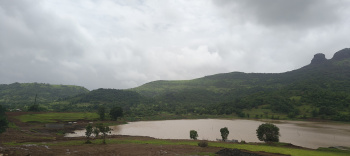  Agricultural Land for Sale in Igatpuri, Nashik