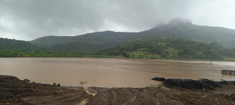  Residential Plot 11443 Sq.ft. for Sale in Igatpuri, Nashik