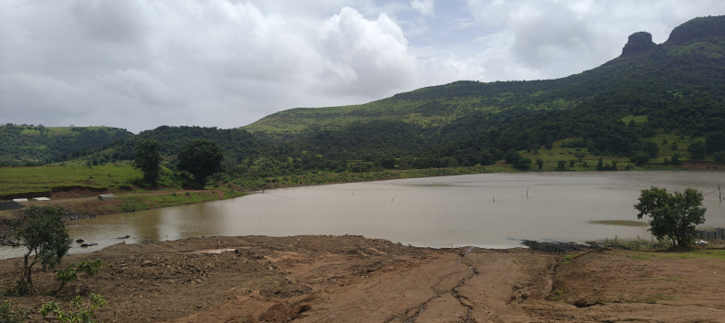 1 BHK Farm House 11788 Sq.ft. for Sale in Igatpuri, Nashik