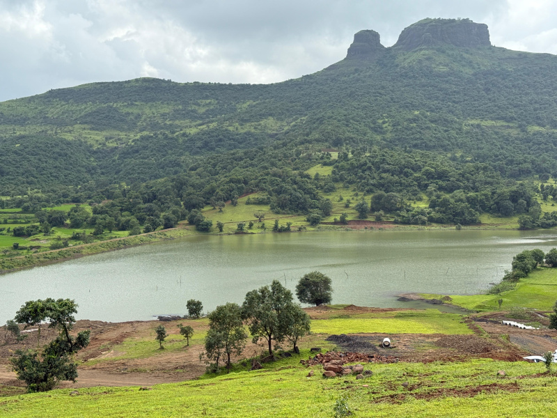 1 BHK Farm House 12280 Sq.ft. for Sale in Igatpuri, Nashik
