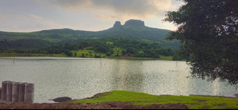  Residential Plot 14158 Sq.ft. for Sale in Igatpuri, Nashik
