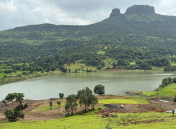  Residential Plot for Sale in Igatpuri, Nashik