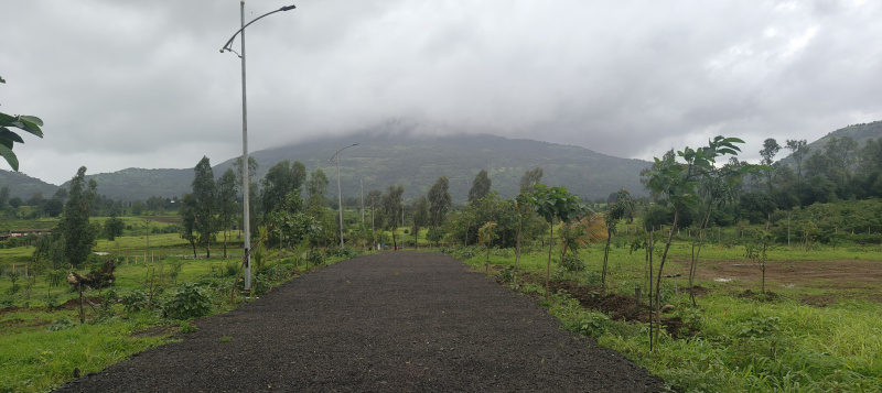 Residential Plot 12490 Sq.ft. for Sale in Trimbakeshwar, Nashik
