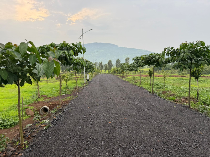  Residential Plot 12490 Sq.ft. for Sale in Trimbakeshwar, Nashik
