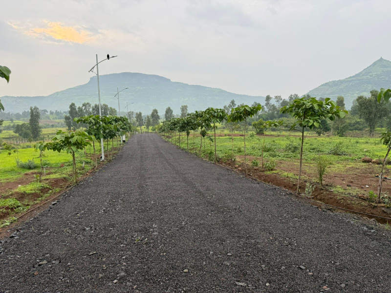  Residential Plot 12490 Sq.ft. for Sale in Trimbakeshwar, Nashik