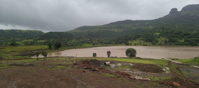 1 BHK Farm House 12389 Sq.ft. for Sale in Igatpuri, Nashik