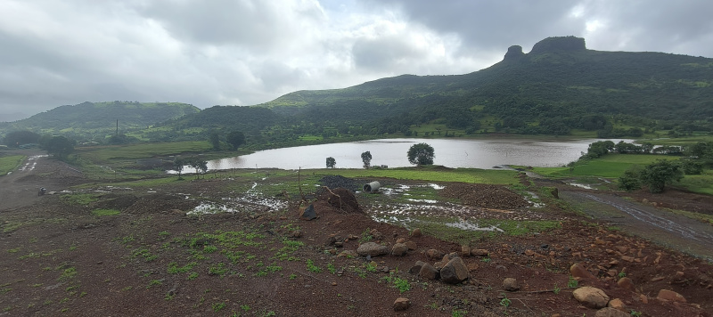 1 BHK Farm House 11520 Sq.ft. for Sale in Igatpuri, Nashik