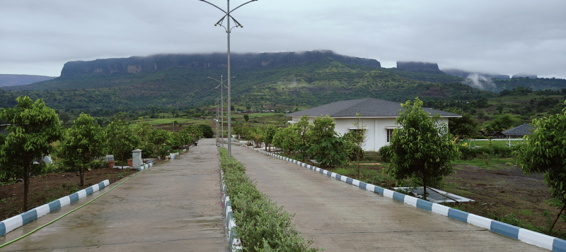  Residential Plot 4844 Sq.ft. for Sale in Trimbakeshwar, Nashik