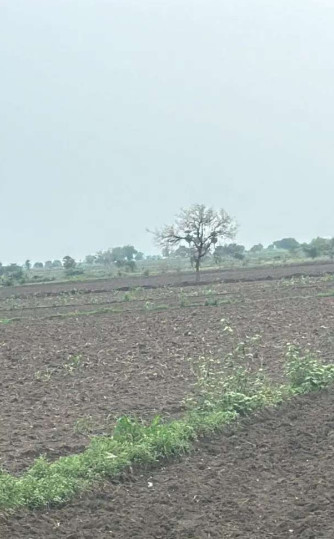  Commercial Land 1 Acre for Sale in Amaravathi, Guntur