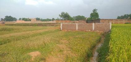  Residential Plot for Sale in Ormanjhi, Ranchi