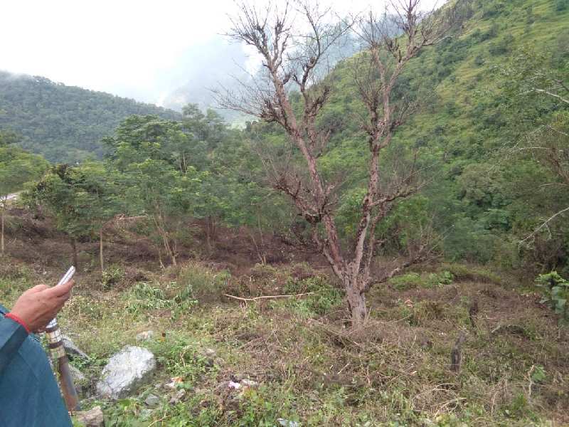 Agricultural Land 3120 Sq. Yards for Sale in Neelkanth Road, Rishikesh