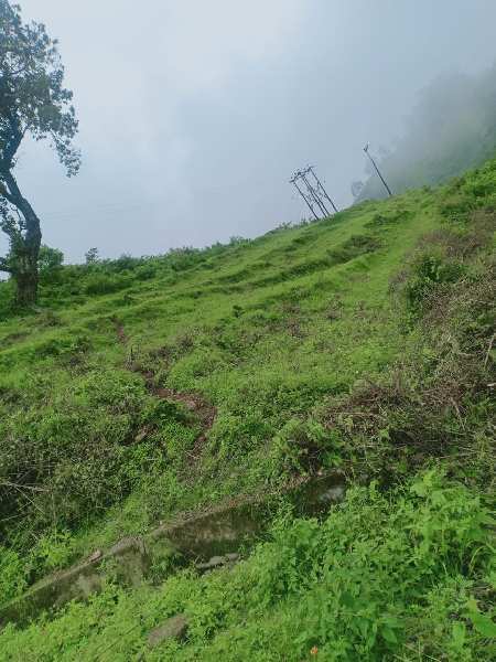 Agricultural Land 1320 Sq. Yards for Sale in Main Road, Dehradun
