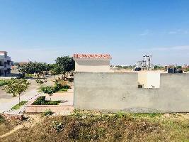  Residential Plot for Sale in TDI City, Mohali