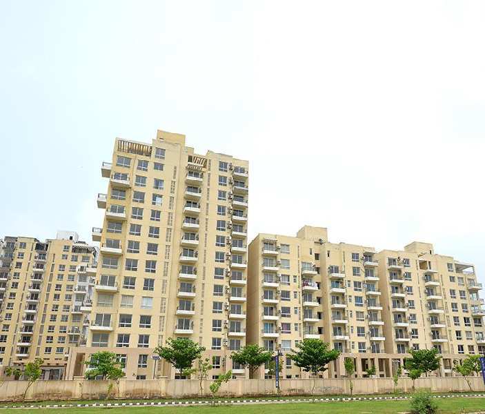 3 BHK Apartment 1250 Sq.ft. for Sale in TDI City, Mohali