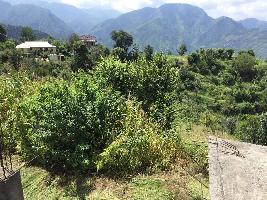 Residential Plot for Sale in Naldehra, Shimla